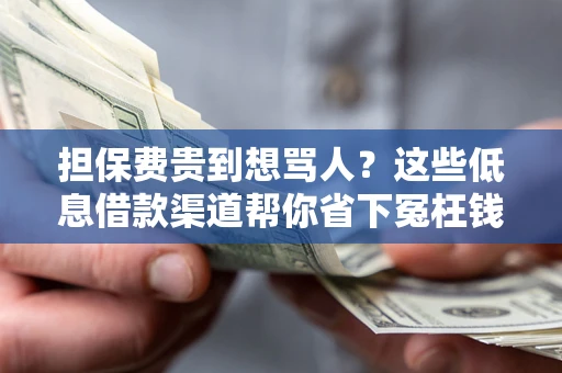 济南担保费贵到想骂人？这些低息借款渠道帮你省下冤枉钱