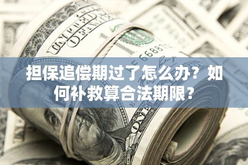济南担保追偿期过了怎么办？如何补救算合法期限？