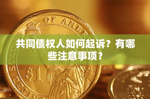济南共同债权人如何起诉？有哪些注意事项？